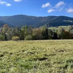 Do Wynajecia Tatil Evi Poręba Wielka