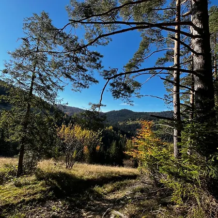 Feriehus Do Wynajecia *