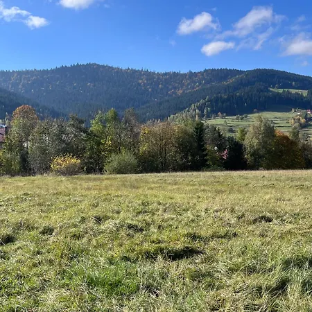 Do Wynajecia Feriehus Poręba Wielka