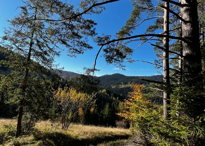 別荘 Do Wynajecia *